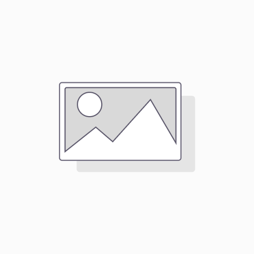 ISO consulting service